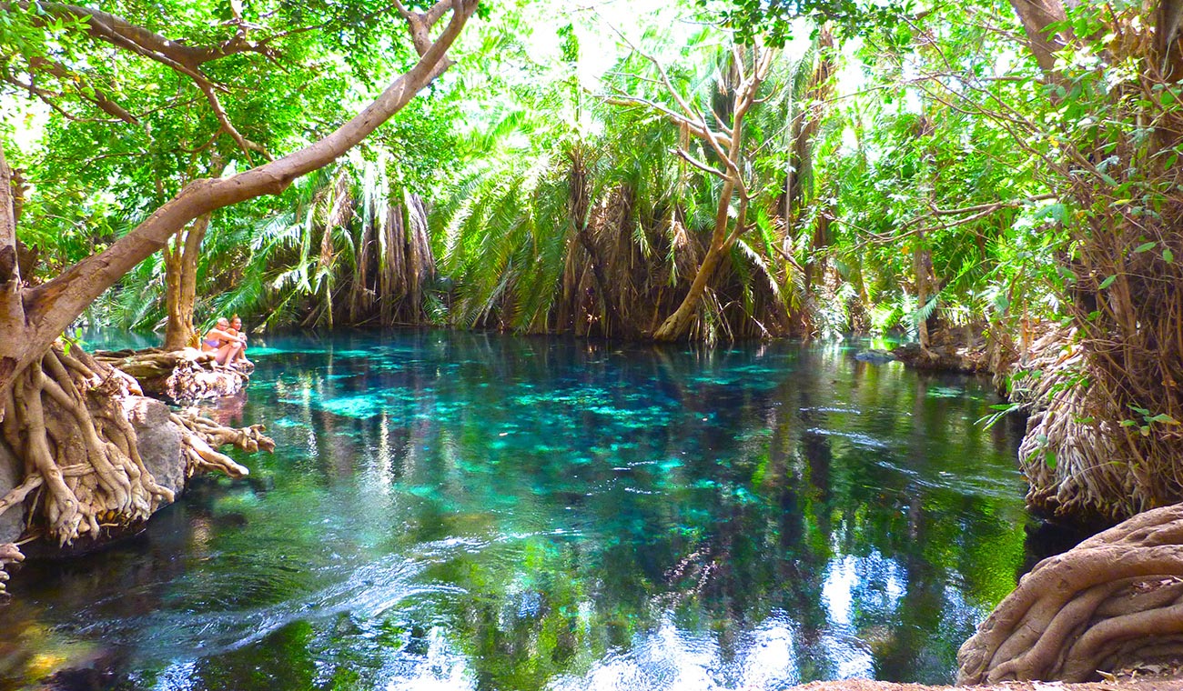 Kikuletwa (Chemka) Hot Springs from Moshi